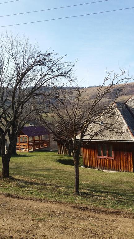 Cabana Bunicilor Rachitele Exterior photo